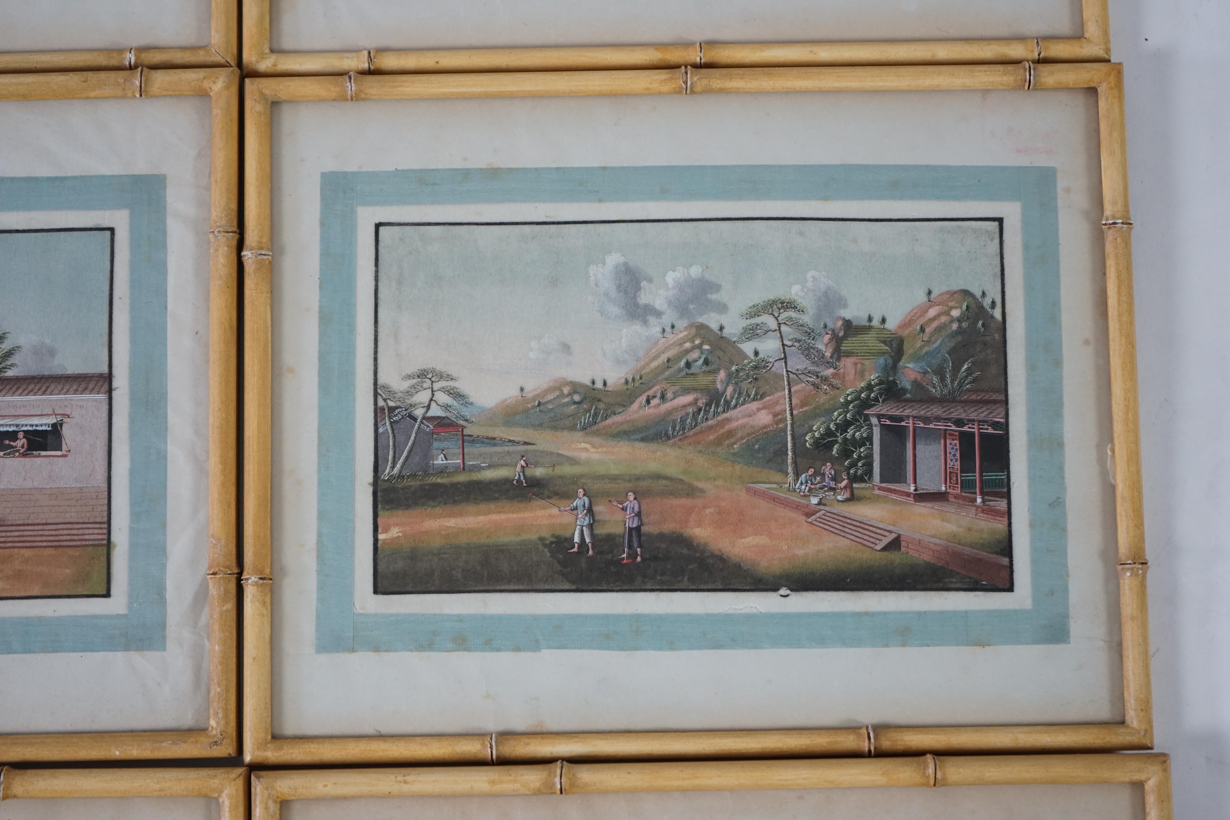A set of twelve Chinese gouache paintings on pith paper of tea production, circle of Tingqua c.1840